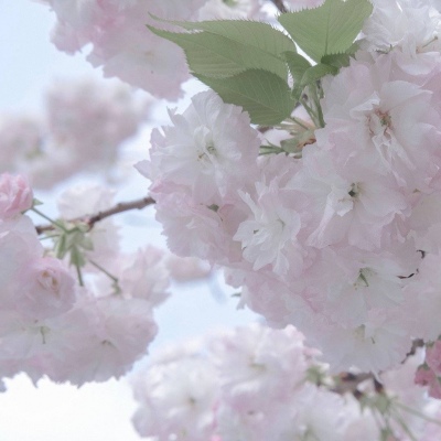 兽设海洋场景设计福瑞群